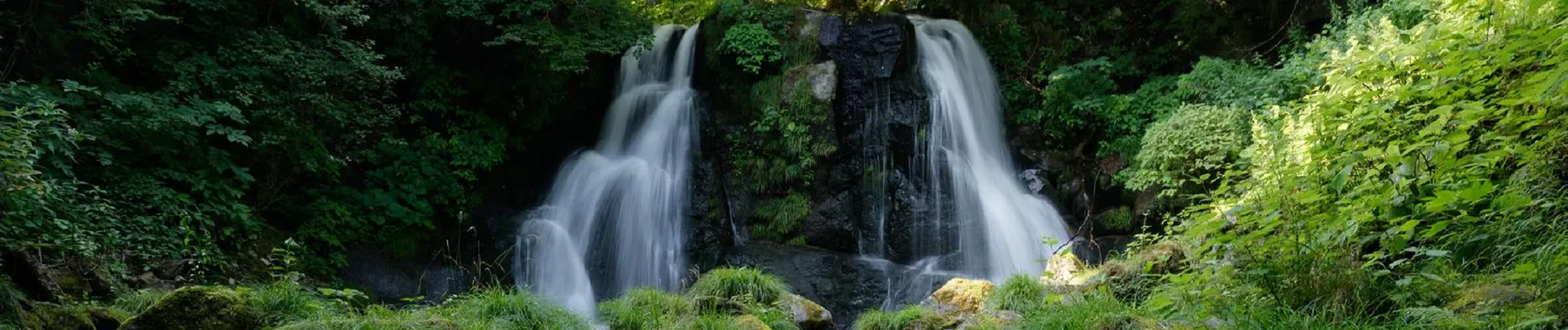 呼吸・抗酸菌広場